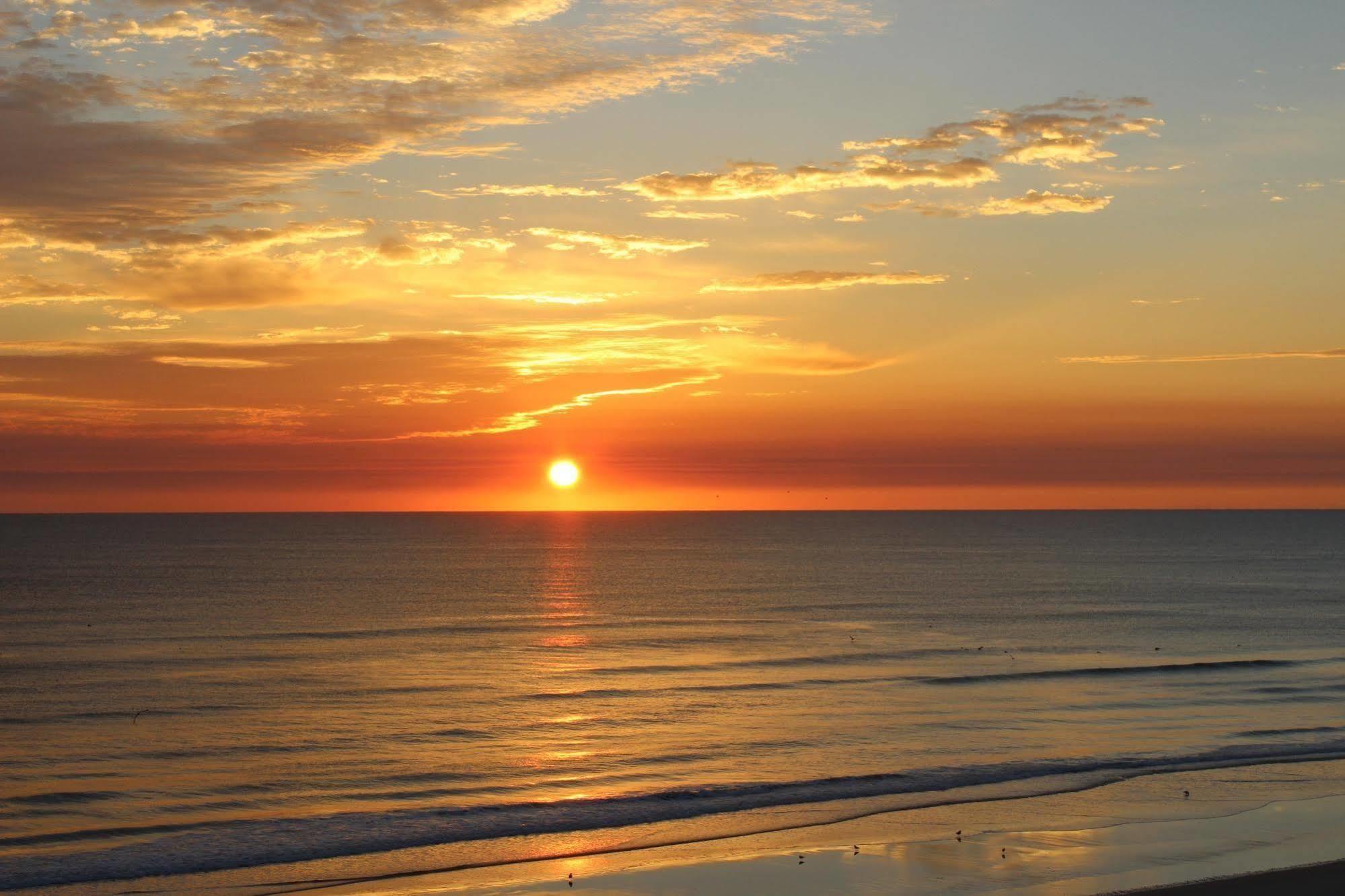 Sea Club IV Resort Daytona Beach Shores المظهر الخارجي الصورة